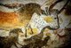 France: Upper Paleolithic cave painting of animals from the Lascaux Cave complex, Dordogne, France, estimated to be c. 17,300 years old